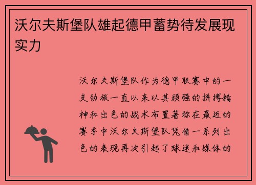沃尔夫斯堡队雄起德甲蓄势待发展现实力