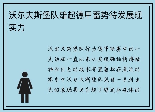 沃尔夫斯堡队雄起德甲蓄势待发展现实力